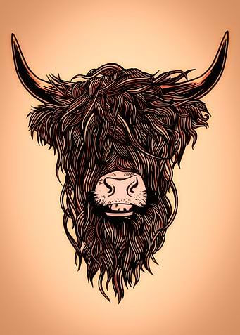 Scottish Highland Cow