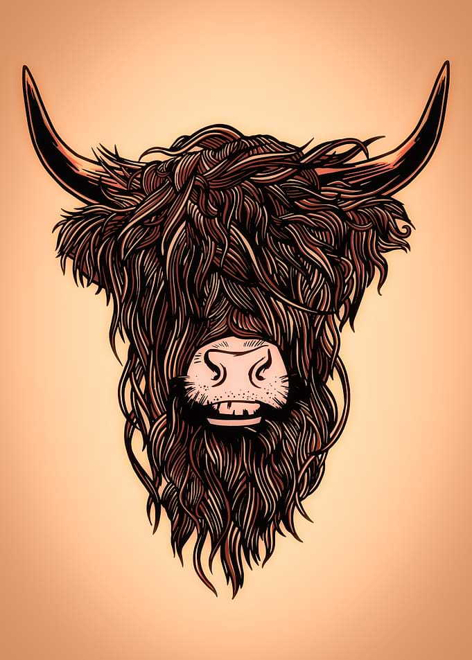 Scottish Highland Cow