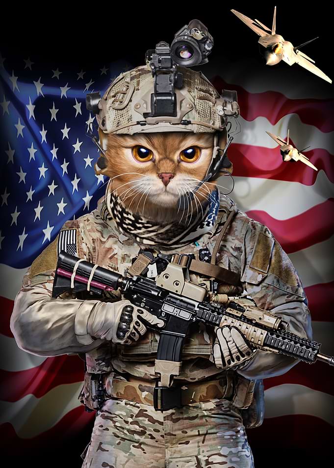 Tabby Cat Elite Soldier