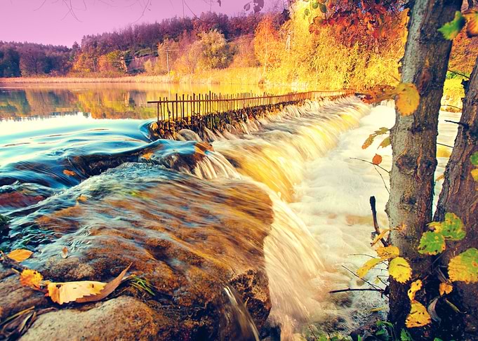 Autumn Brook Color Country