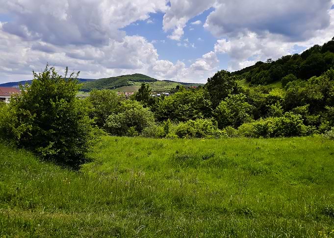 Trip on the hills