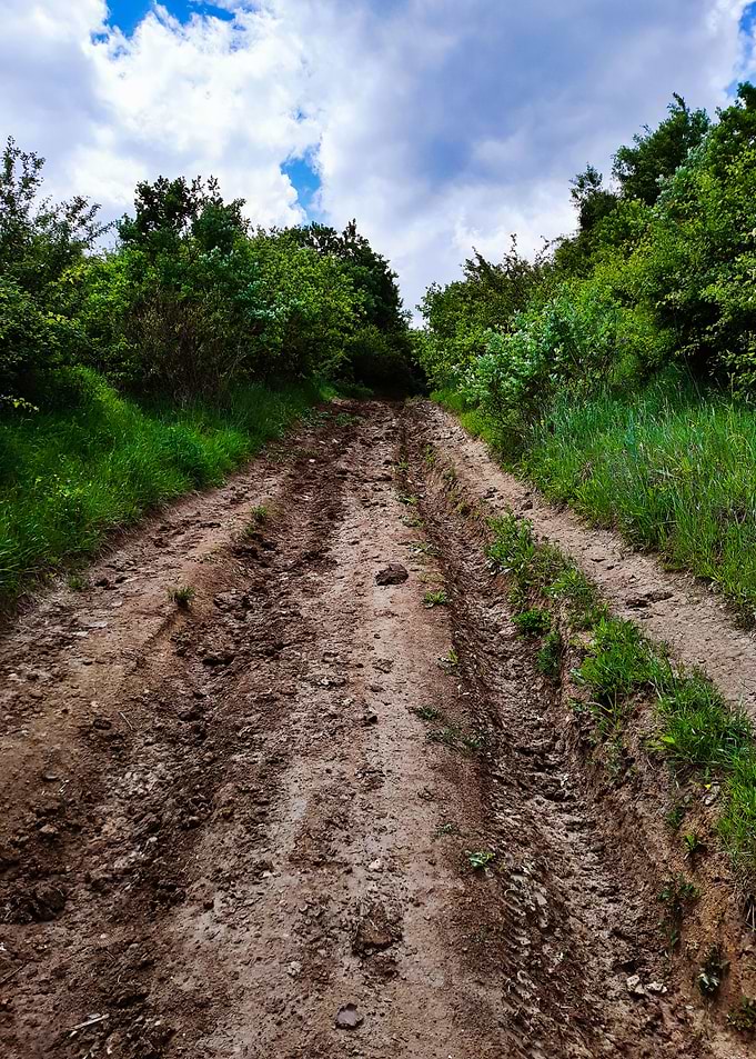 Trail road