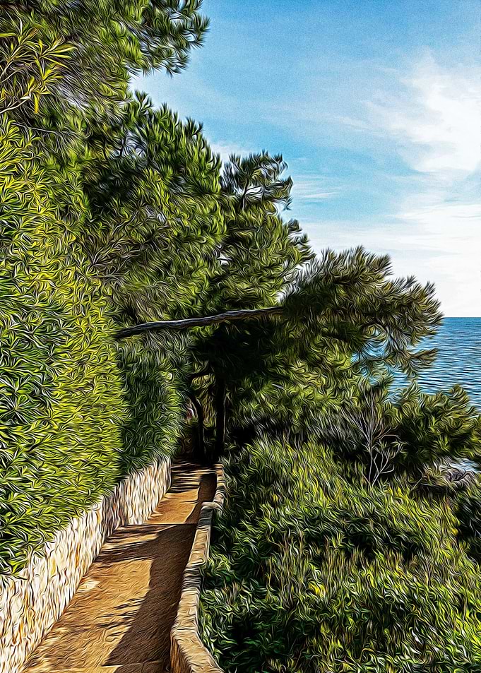 Seacoast of Cap Martin
