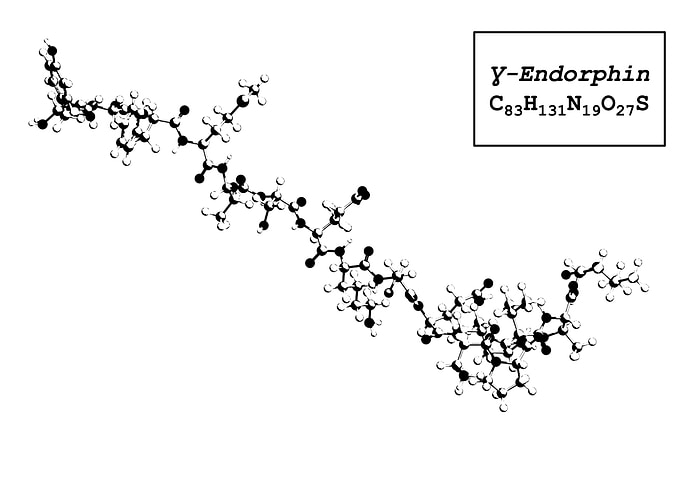 Gamma Endorphin