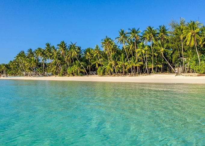 Tropical Paradise
