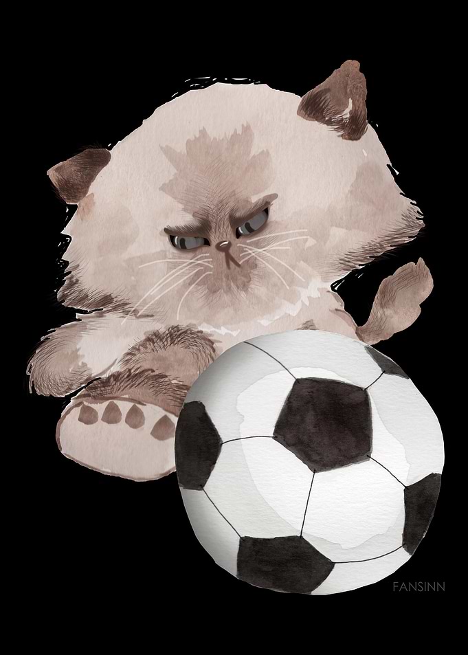Cat football sports gift c