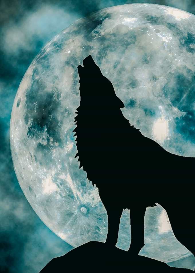 The Wolf 9