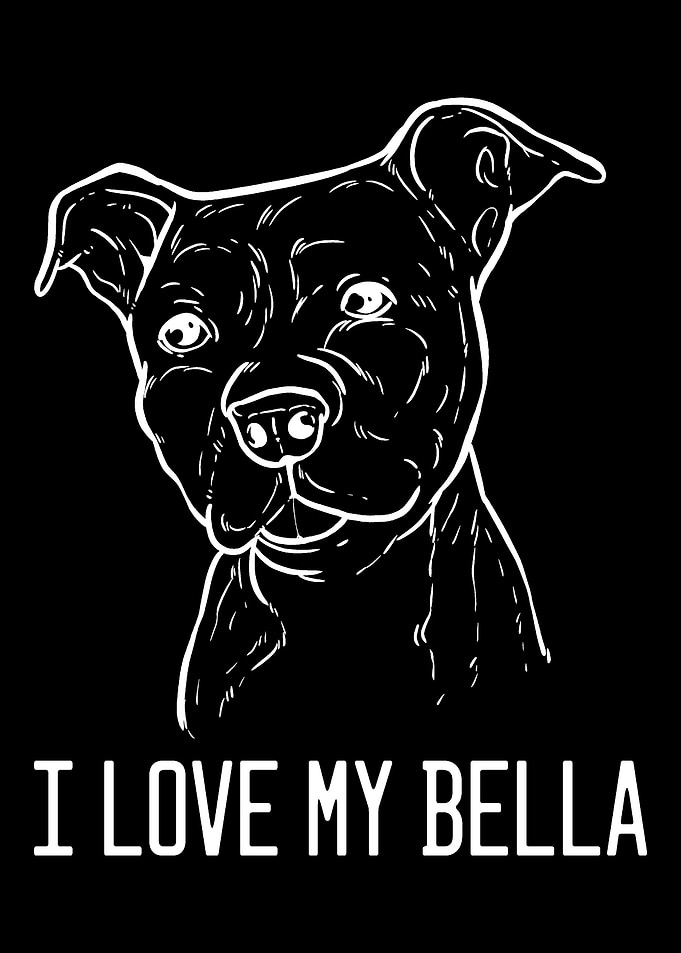 American Pitbull Terrier B