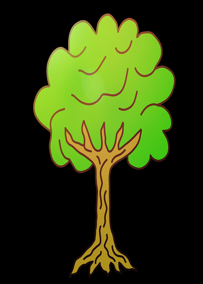 Beautiful nature Tree