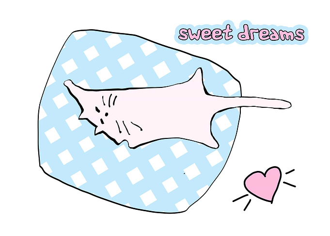 Sweet dreams on white