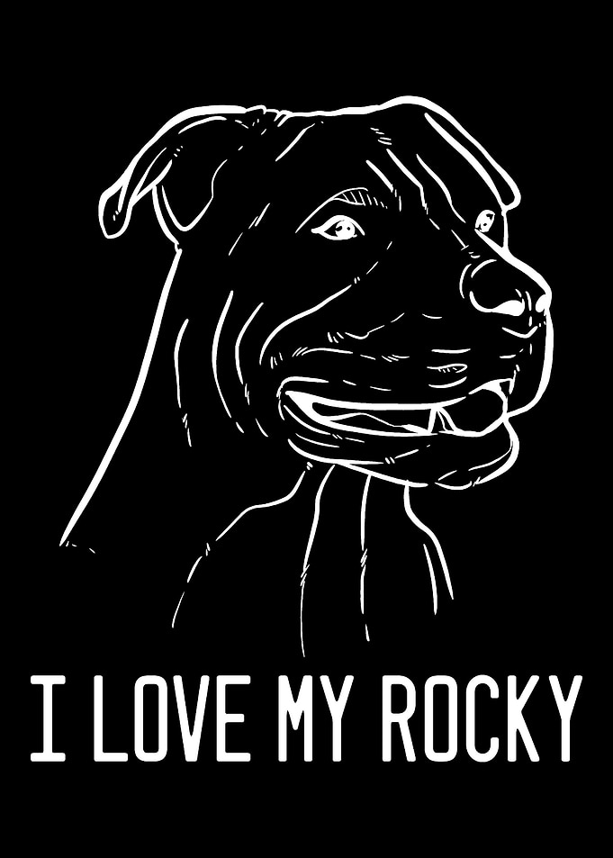 American Pitbull Terrier R