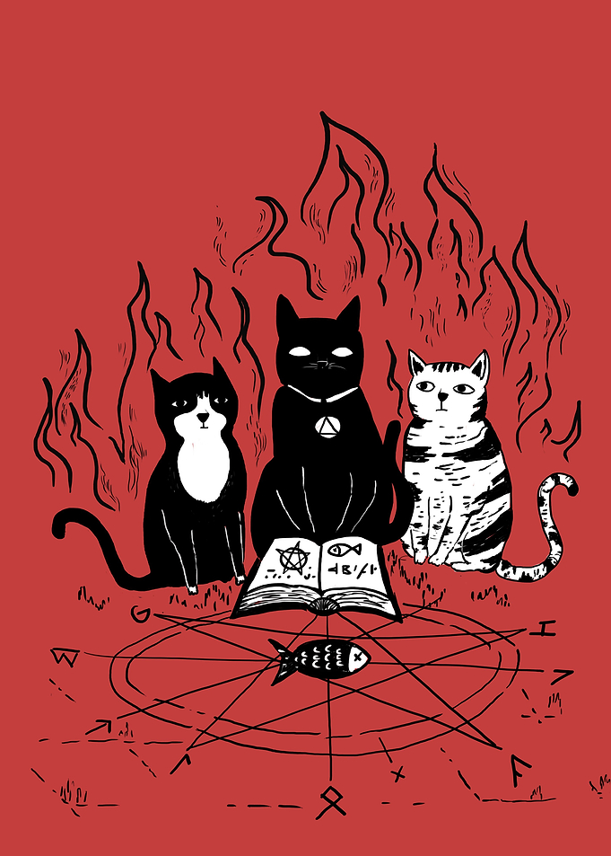 Magic cat illustration