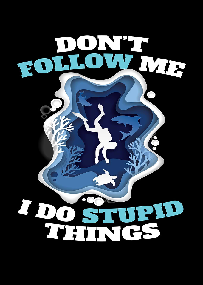 Dont Follow Me Stubid