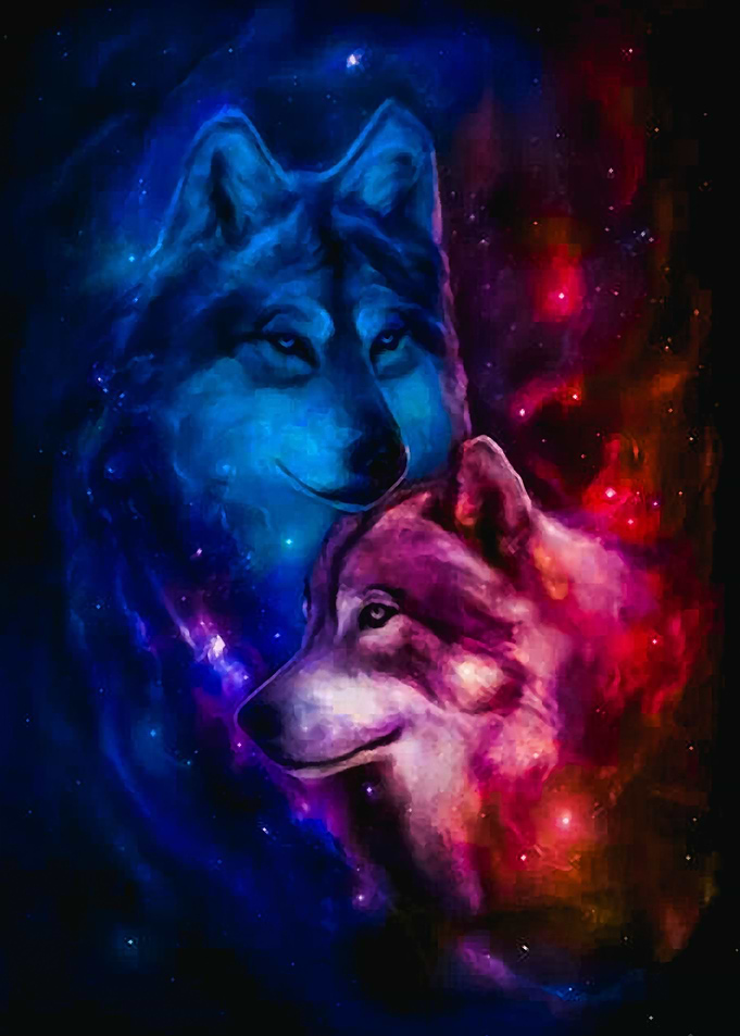 The Wolf 6