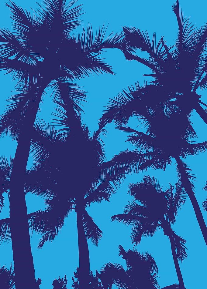 coconut trees silhouette