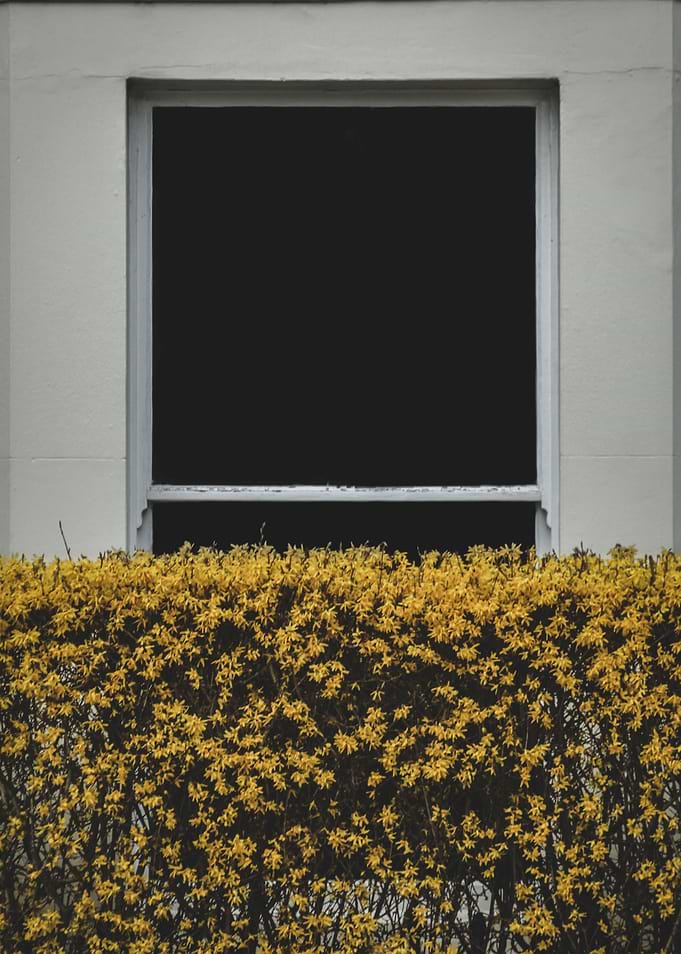 A Wall Of Colour