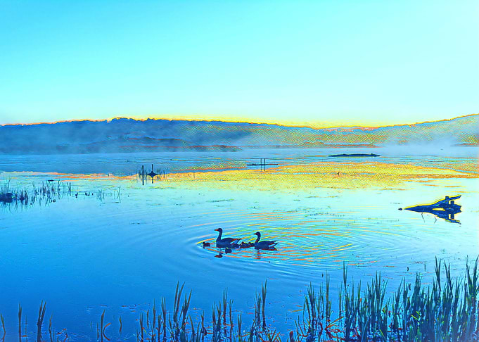 Nature Painting
