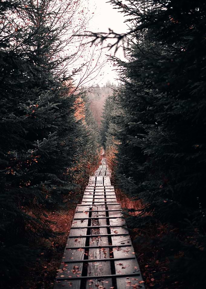 Wanderlust