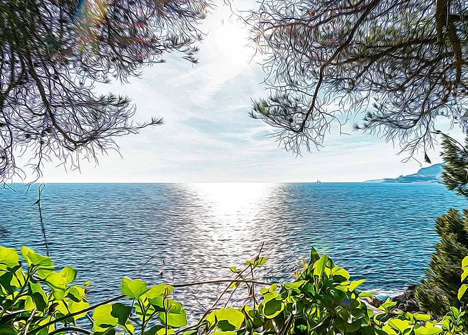 Seacoast of Cap Martin
