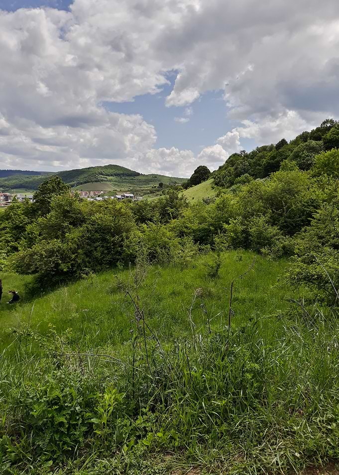 Hill view