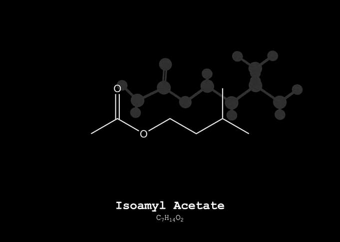 Isoamyl Acetate