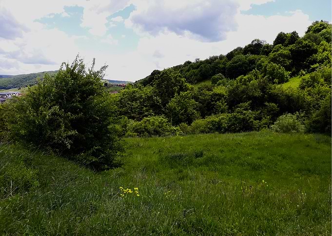 Trip in june