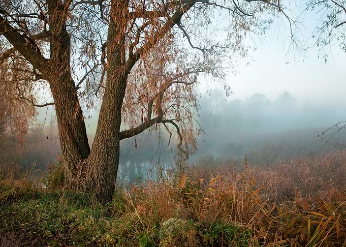 Autumn Background Beautifu