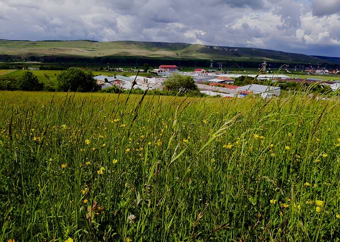 Summer in the country