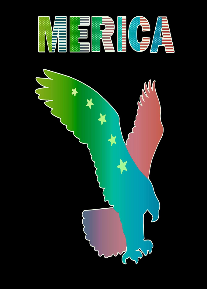 Merica Eagle America 4th