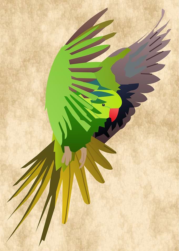 Green bird