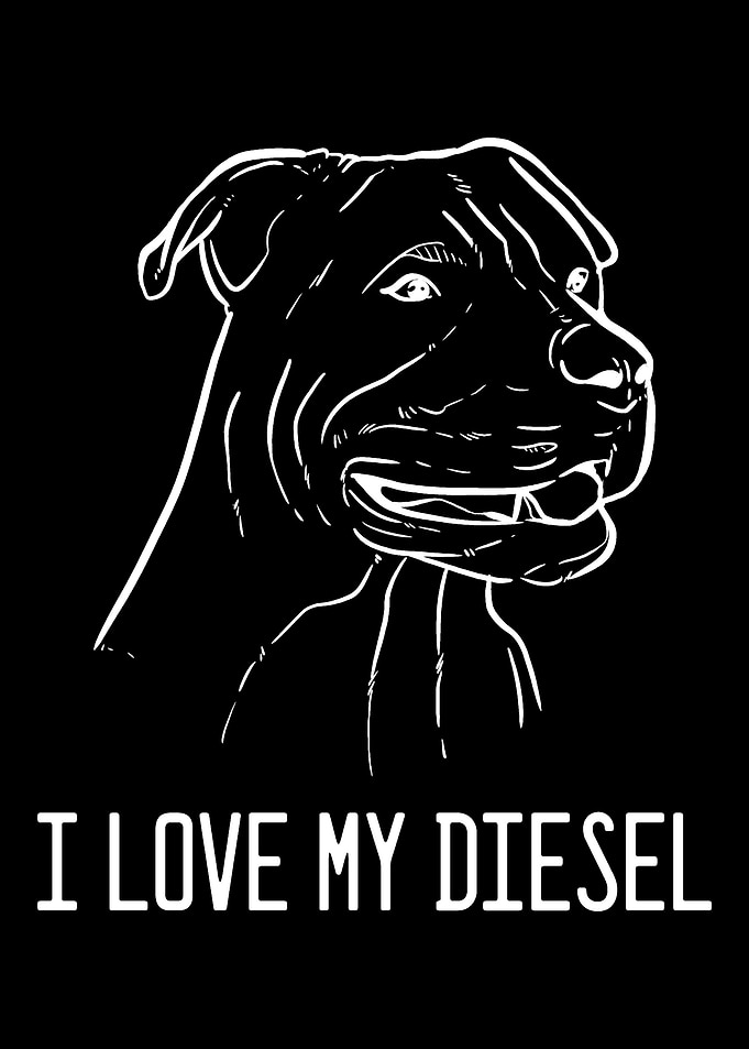 American Pitbull Terrier D