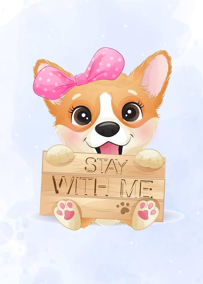 Cute little corgi