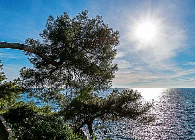 Seacoast of Cap Martin