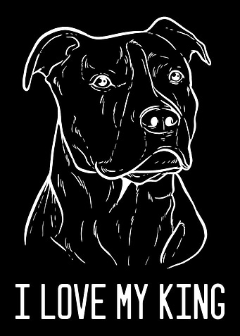 American Pitbull Terrier K
