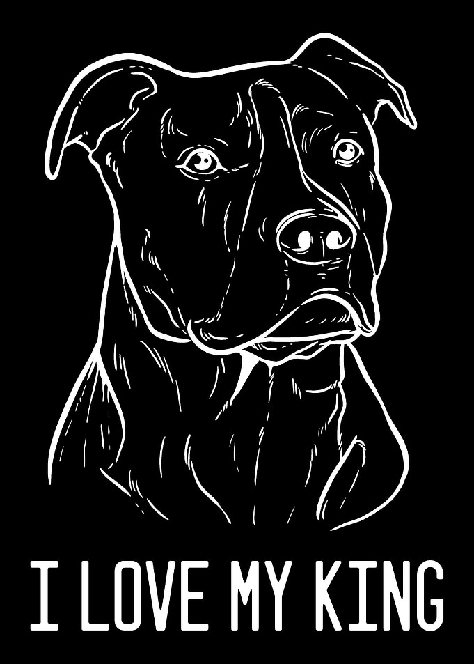 American Pitbull Terrier K