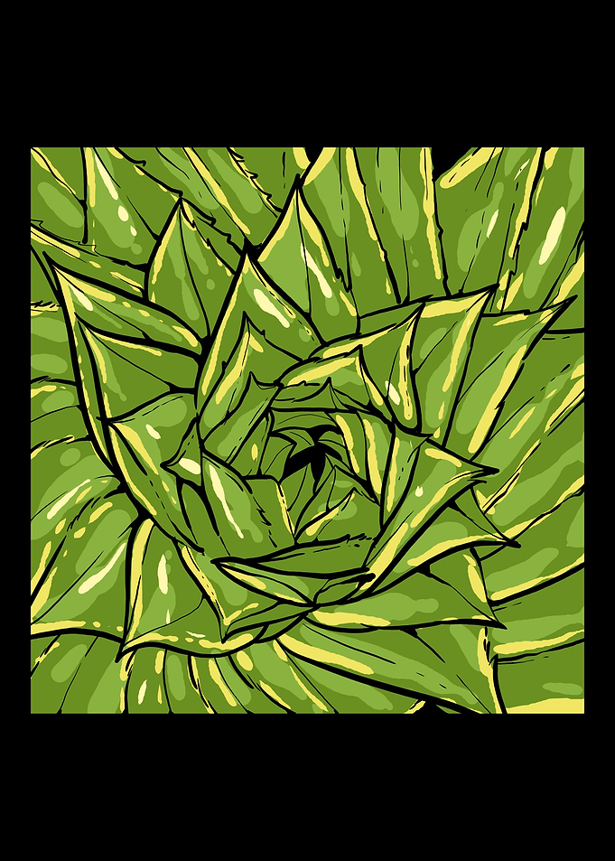 Cactus Flower Gardener And