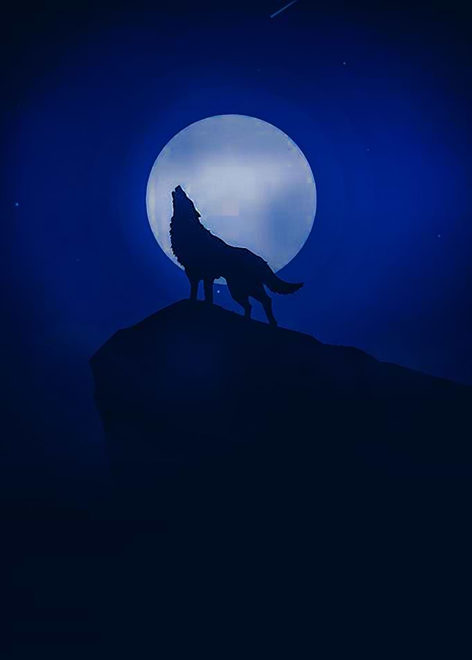 The Wolf 4
