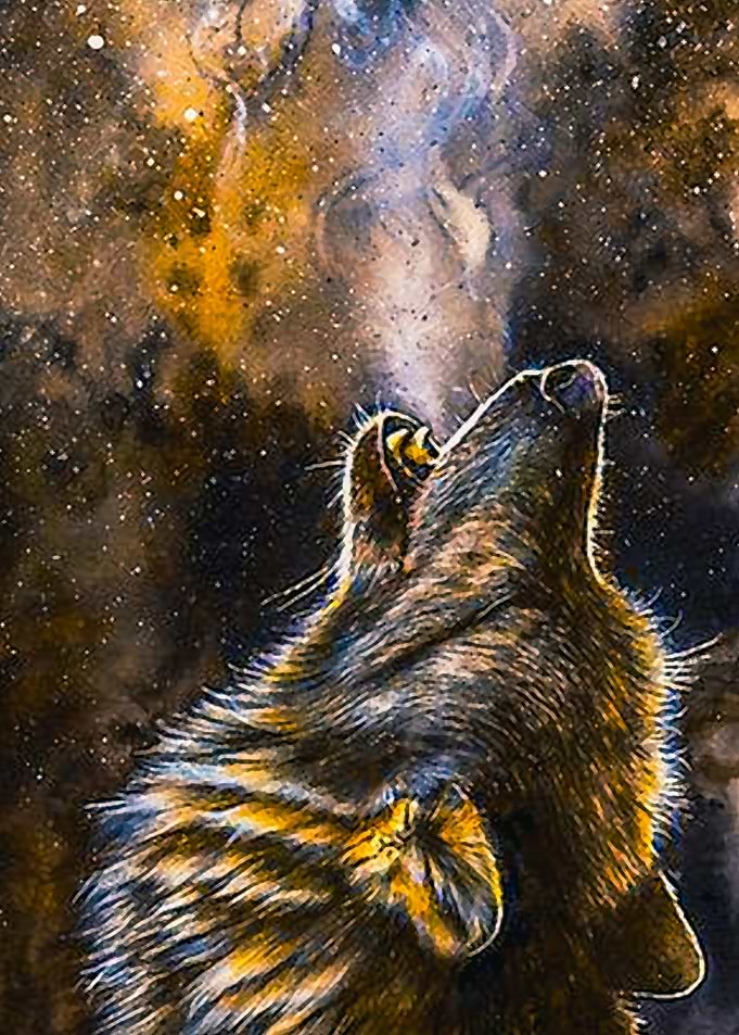 The Wolf 10