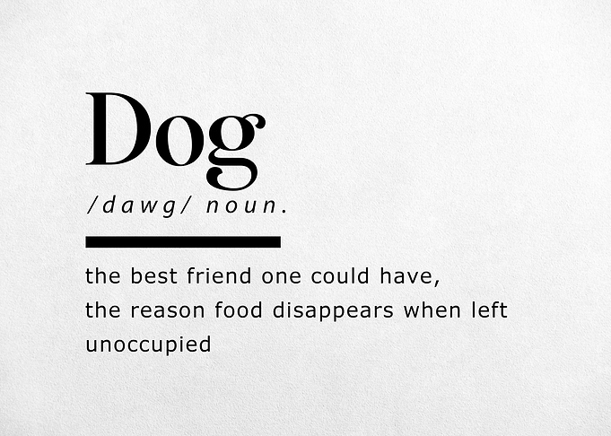 Funny Definition Dog