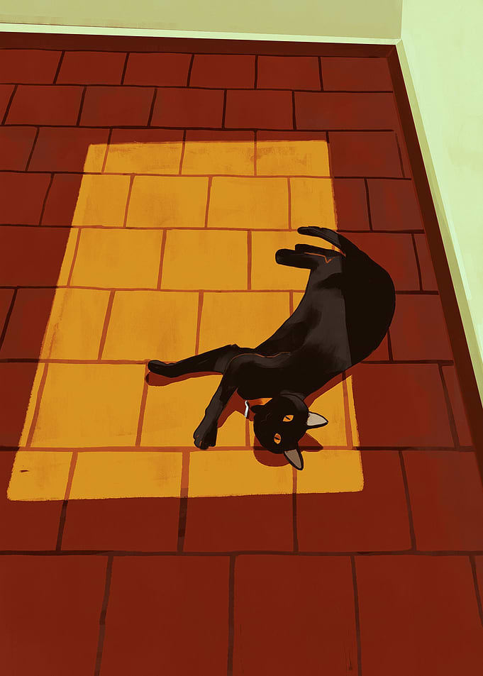Black cat illustration
