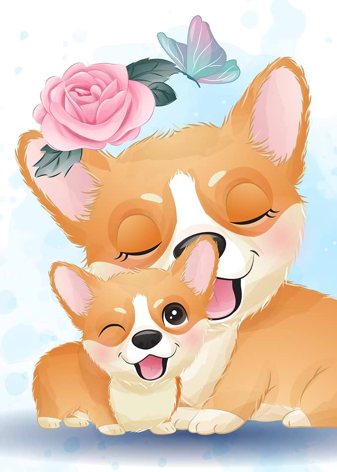Cute little corgi