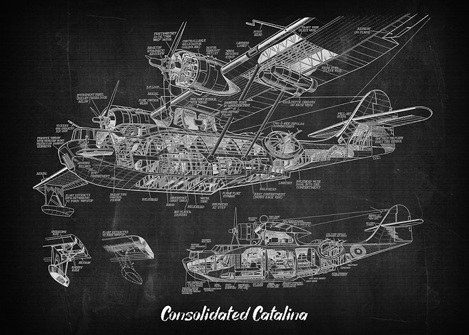 Consolidated Catalina