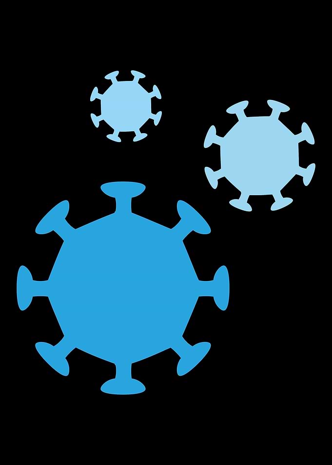 Virus
