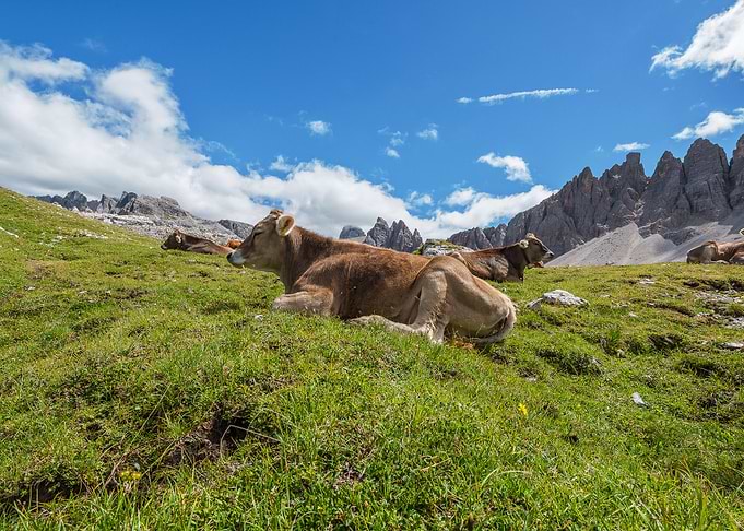 Dolomites 29 Italy