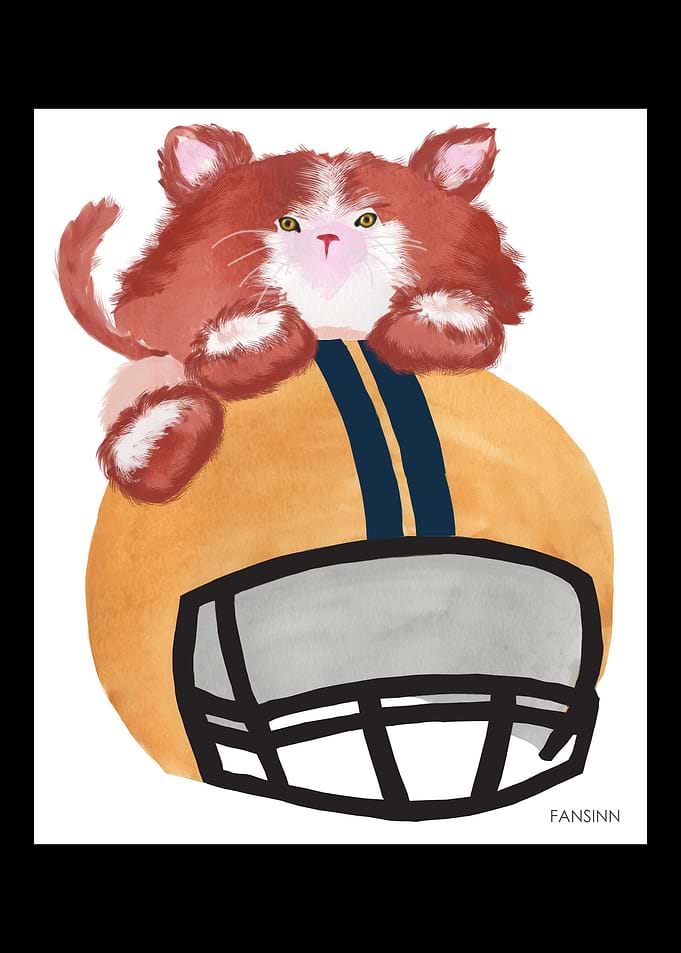 Cat Football Helmet funny