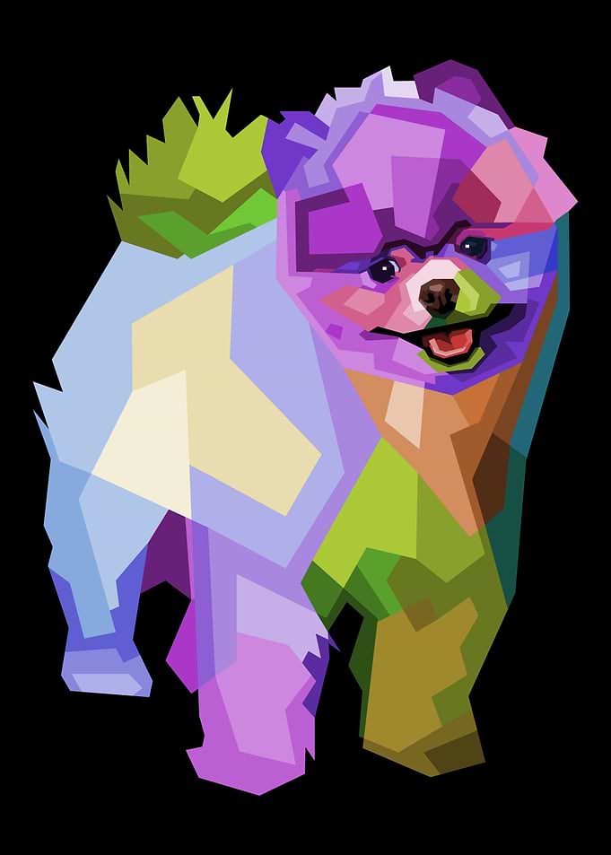 colorful cute puppy