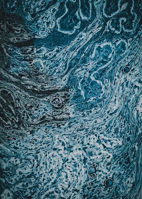 Ocean 06