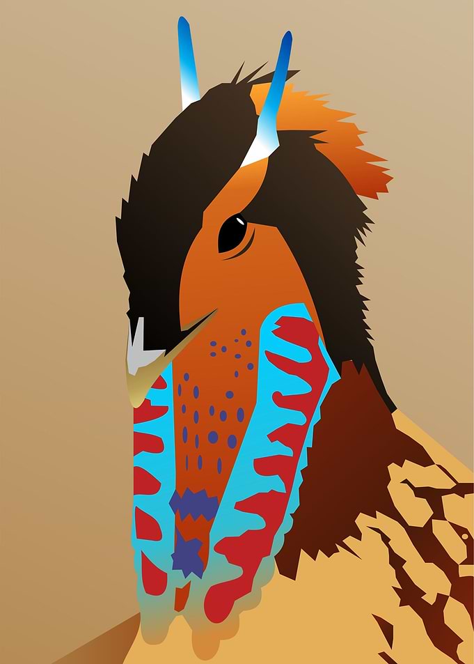 pheasant