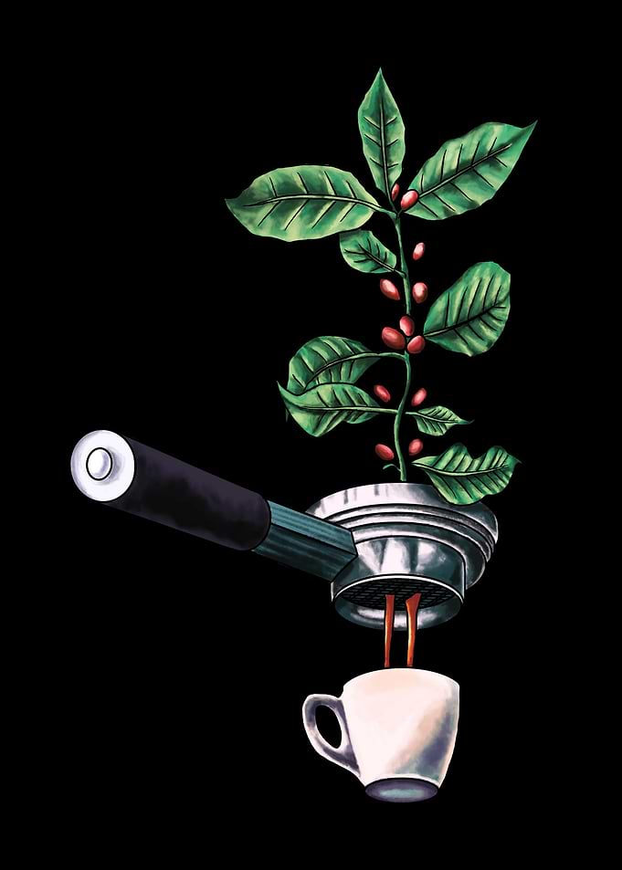Kaffee Design Espresso