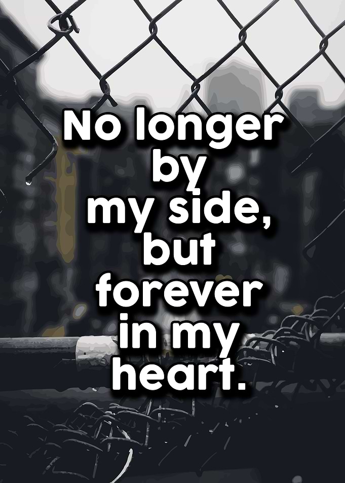 Life Love Quotes 211